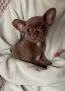 Великолепная Лилу