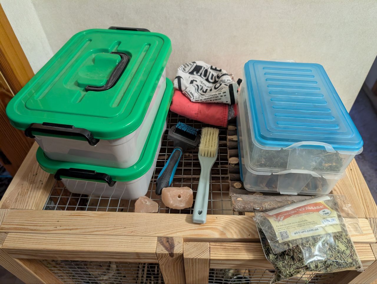 Шиншила стандартна (сірий колір)