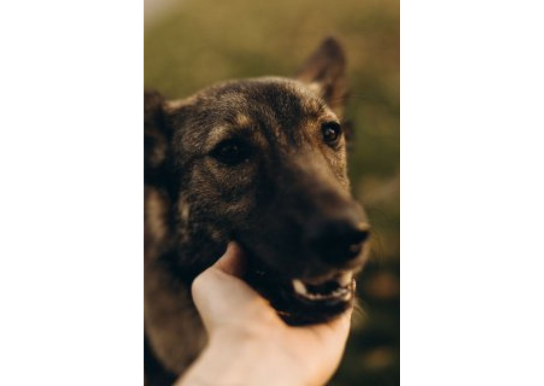 Не проходьте повз, придивіться, можливо, Лея чекає саме на вас? ❤️🩹