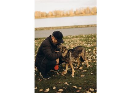 Не проходьте повз, придивіться, можливо, Лея чекає саме на вас? ❤️‍🩹