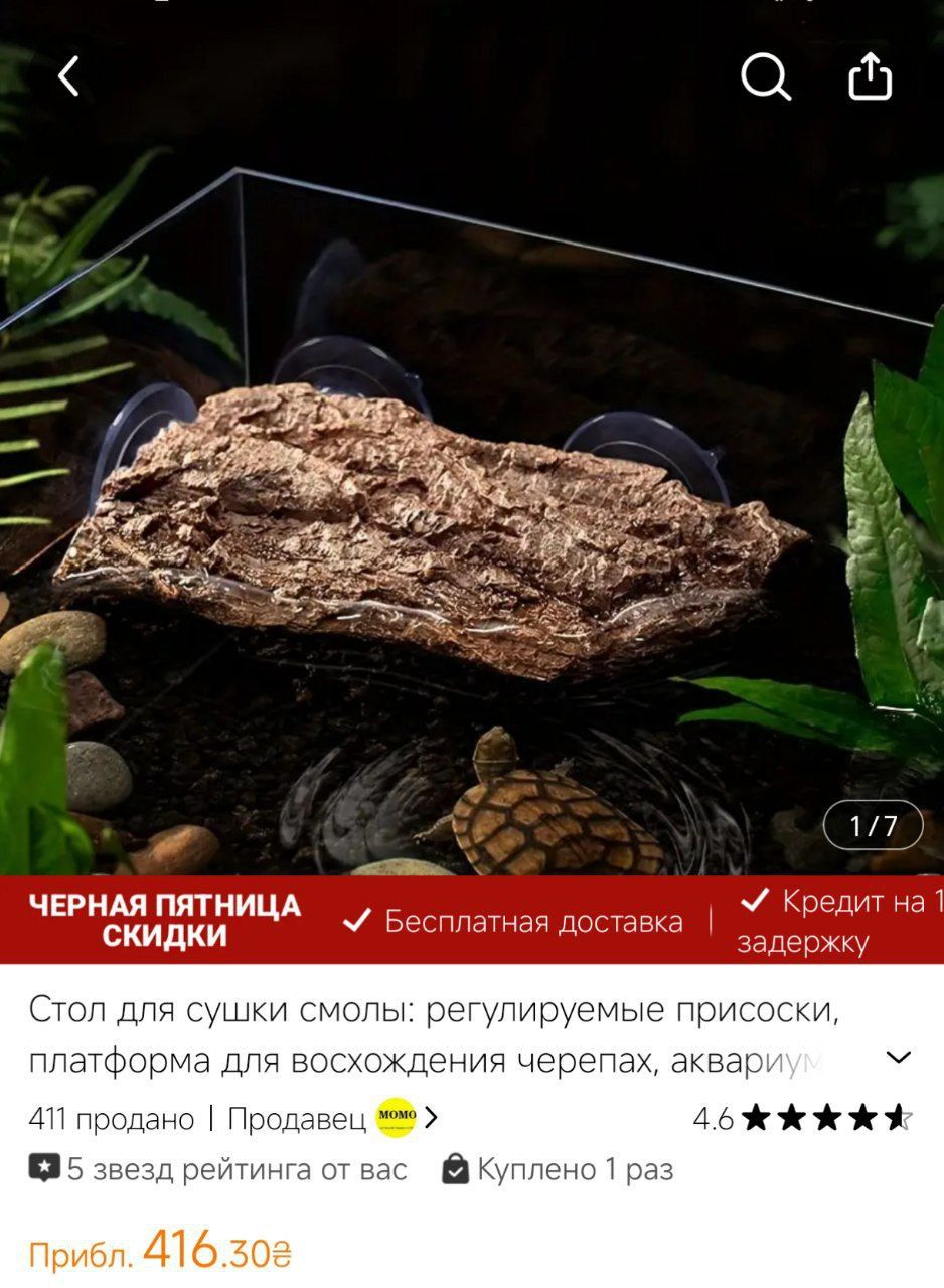 Червоновуха черепаха 9см (Є варіант разом с акватерарріумом у повному комплекті)