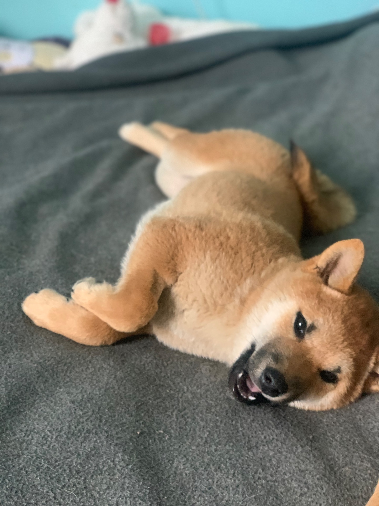 Нам 3 місяця 1 хлопчик 3 дівчинки