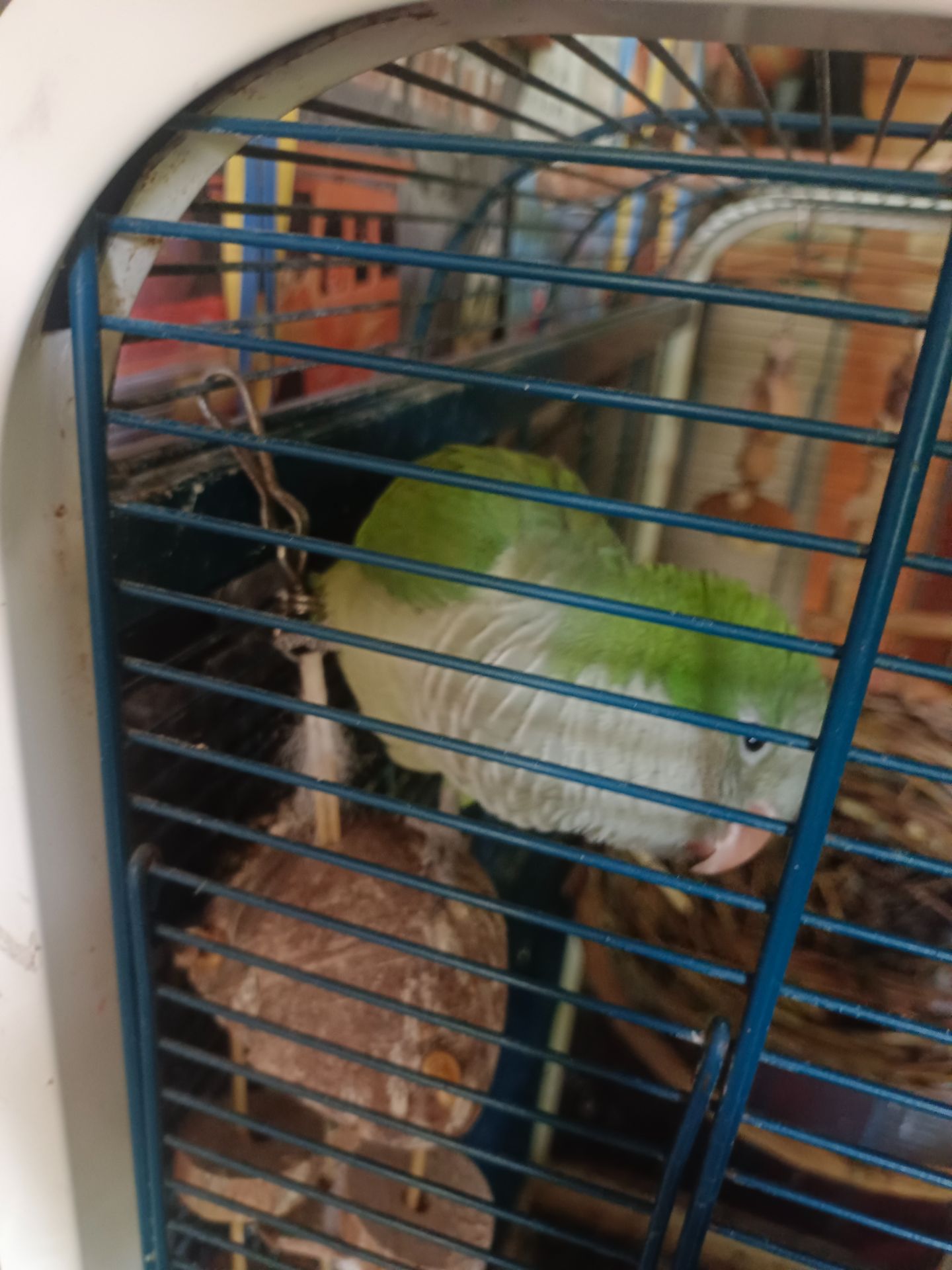 Калита - монах