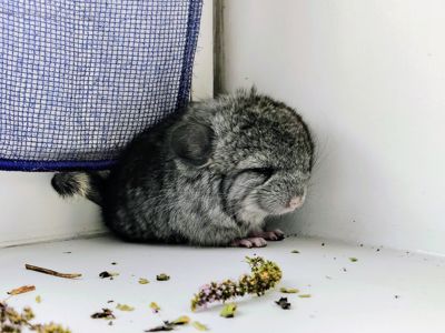 Лагідний хлопчик 🩵