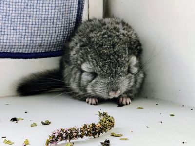 Лагідний хлопчик 🩵