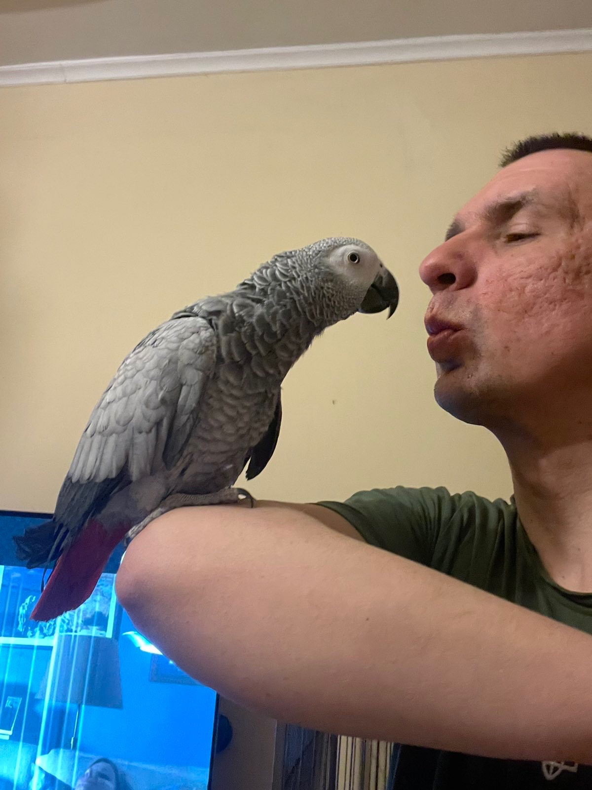 Жако дівчинка 2 рокі!