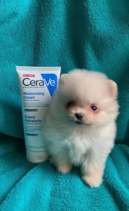 Очаровательный Laky