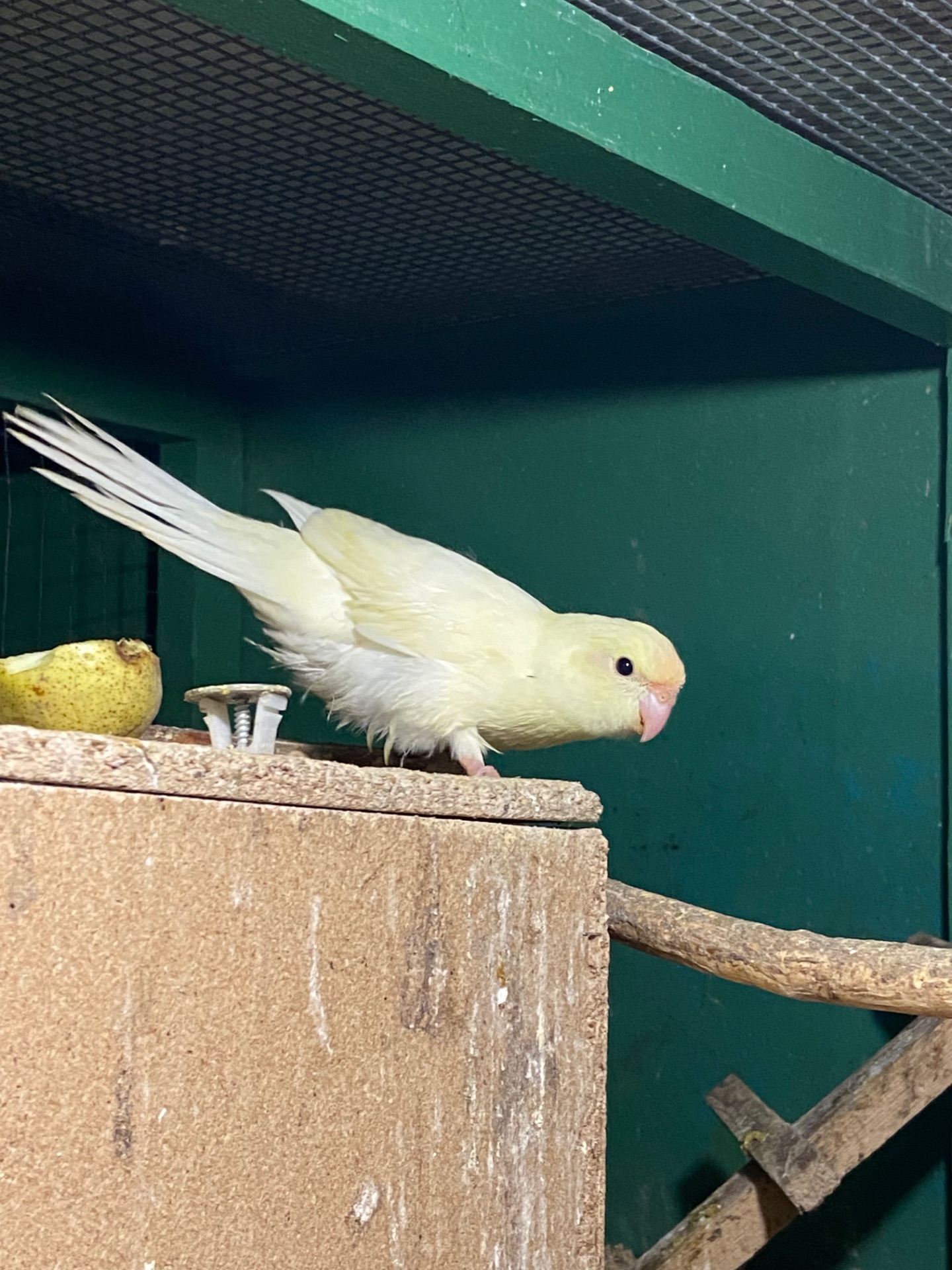 Картки креміно