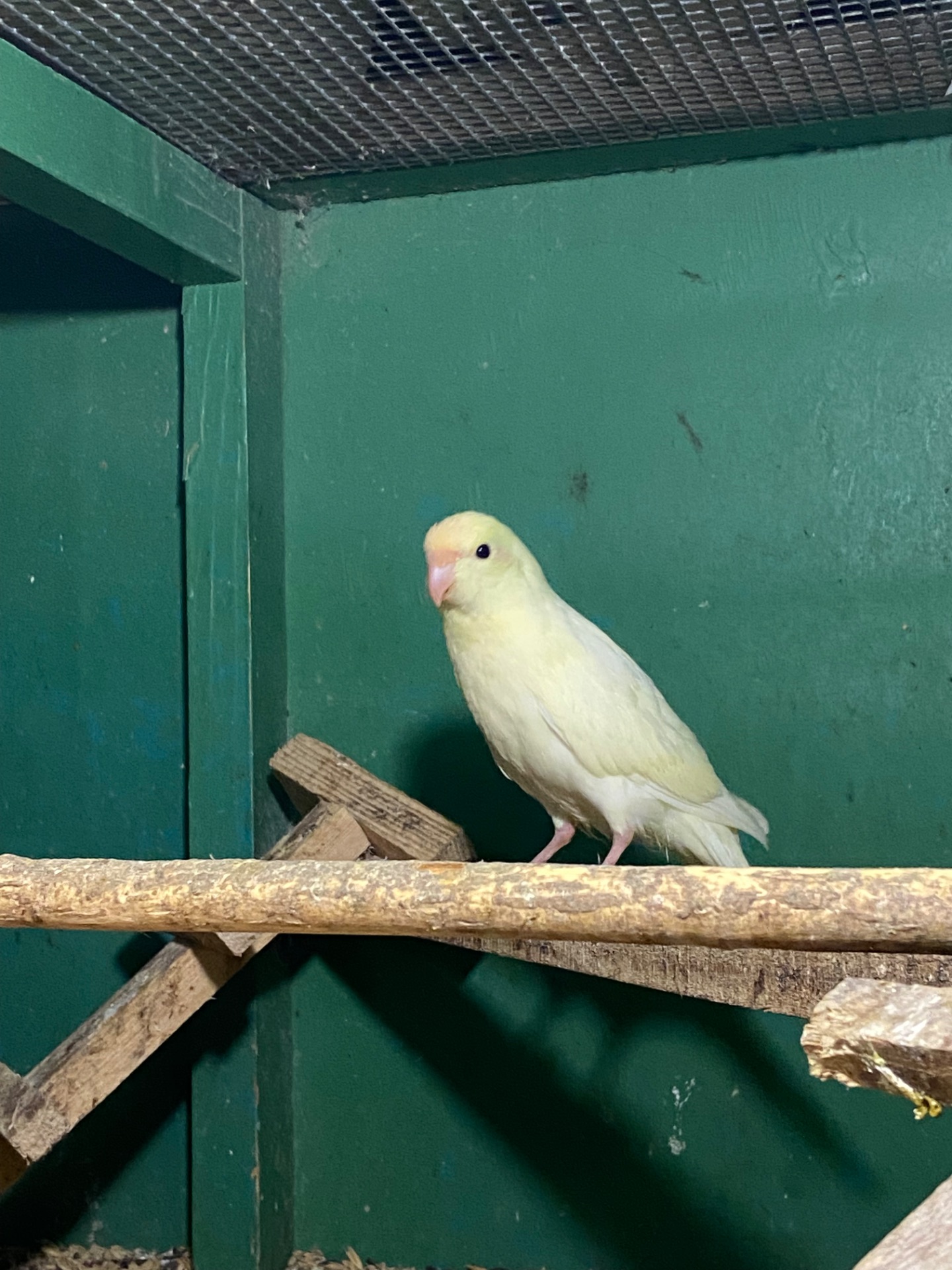 Картки креміно