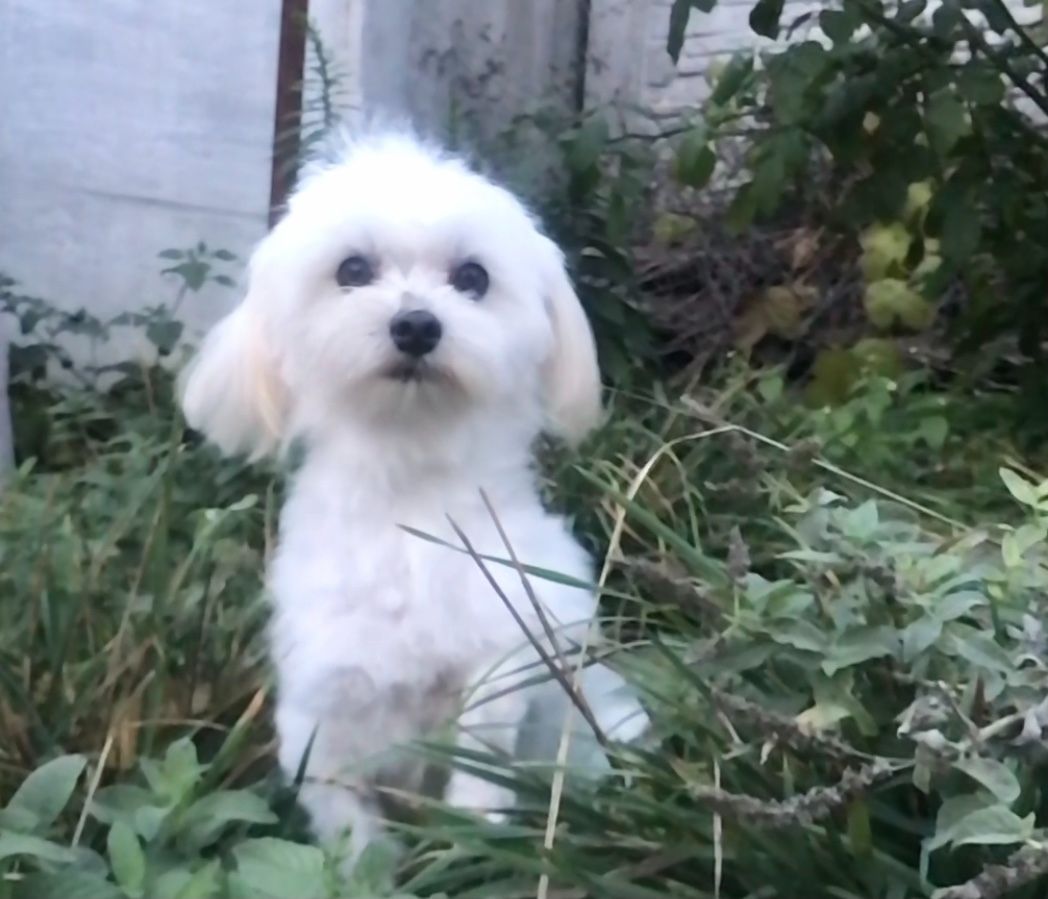 Взрослый мальчик