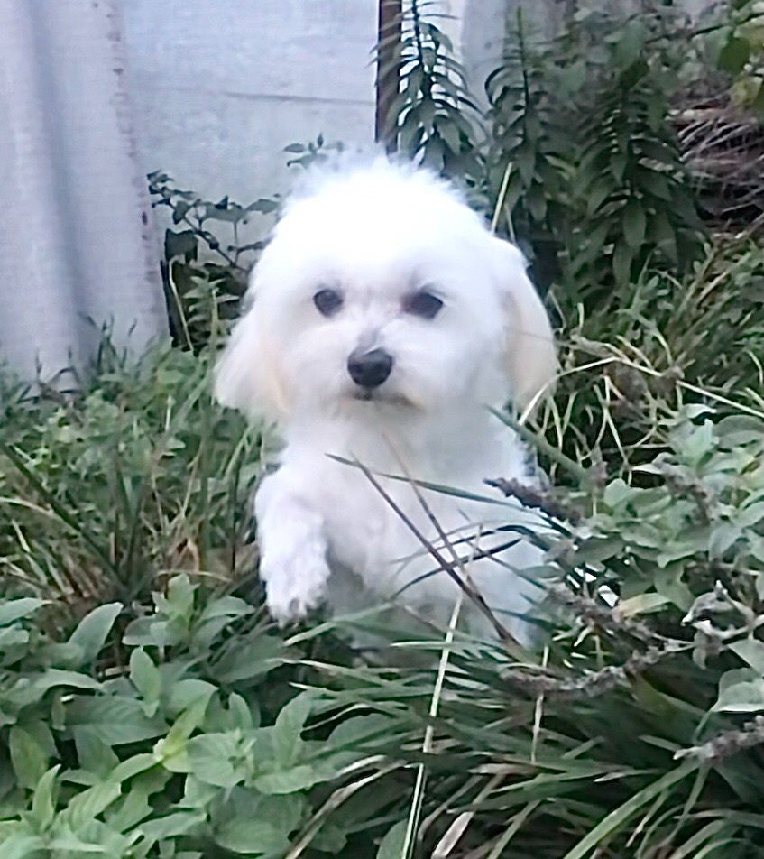 Взрослый мальчик