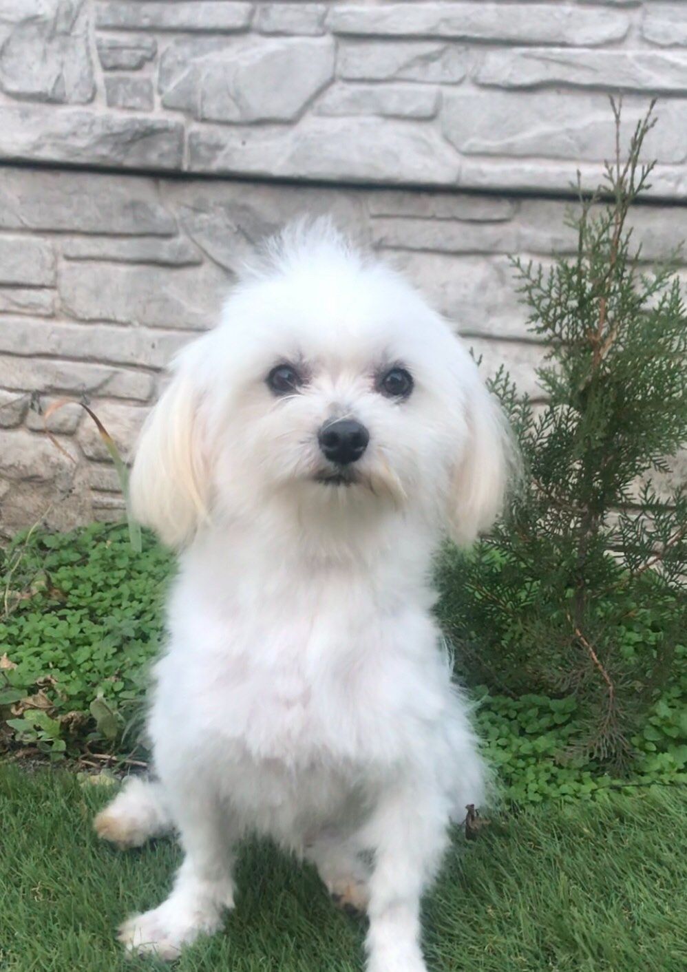 Взрослый мальчик