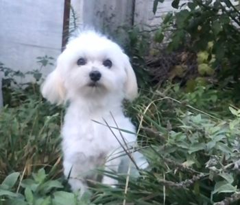 Взрослый мальчик