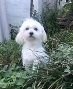 Взрослый мальчик