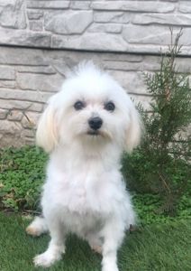 Взрослый мальчик