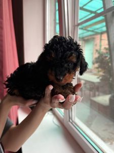 Взрослый мальчик