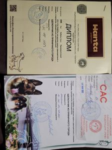 Взрослый мальчик