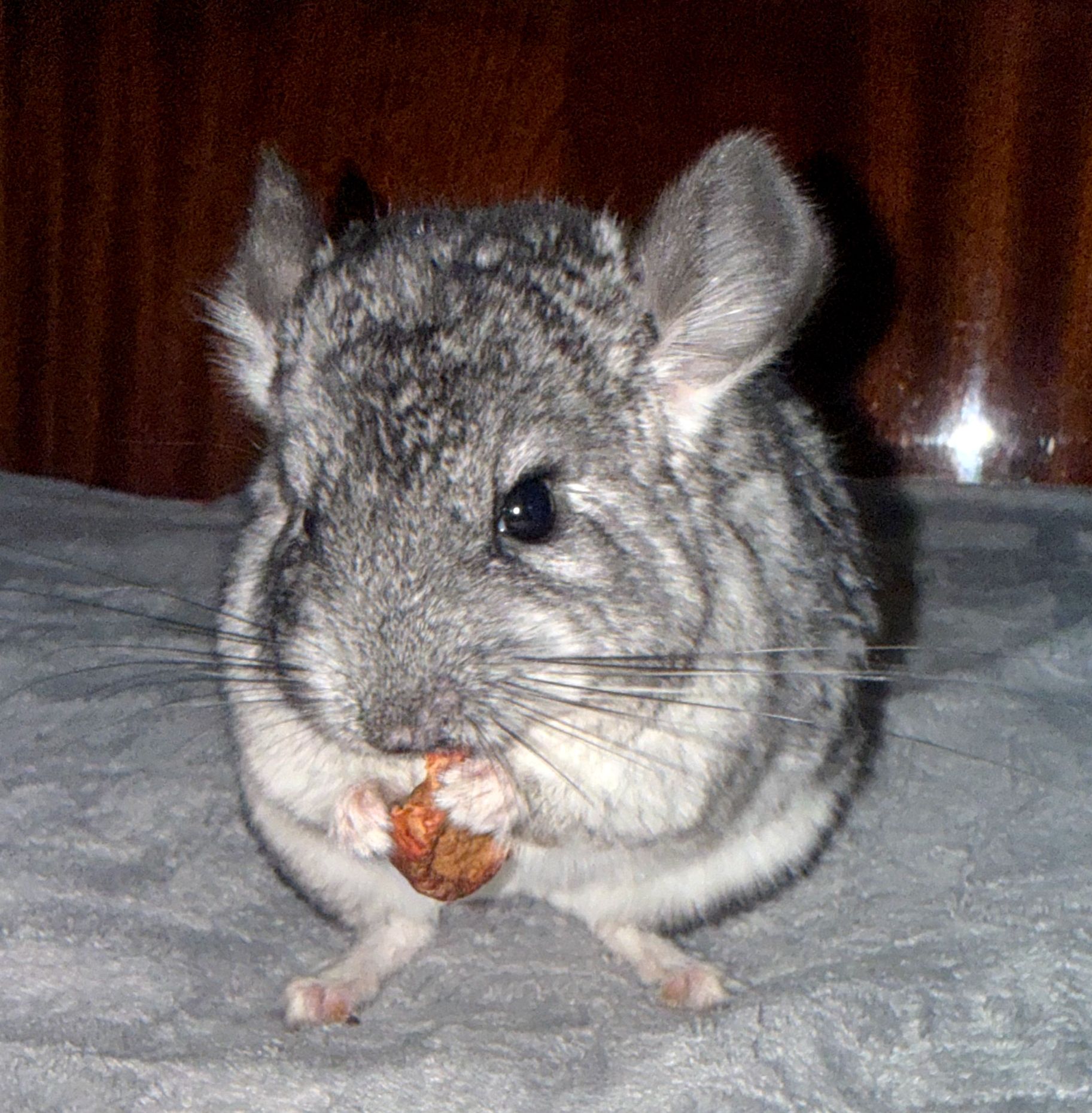 ЧАРІВНИЙ КРАСЕНЬ