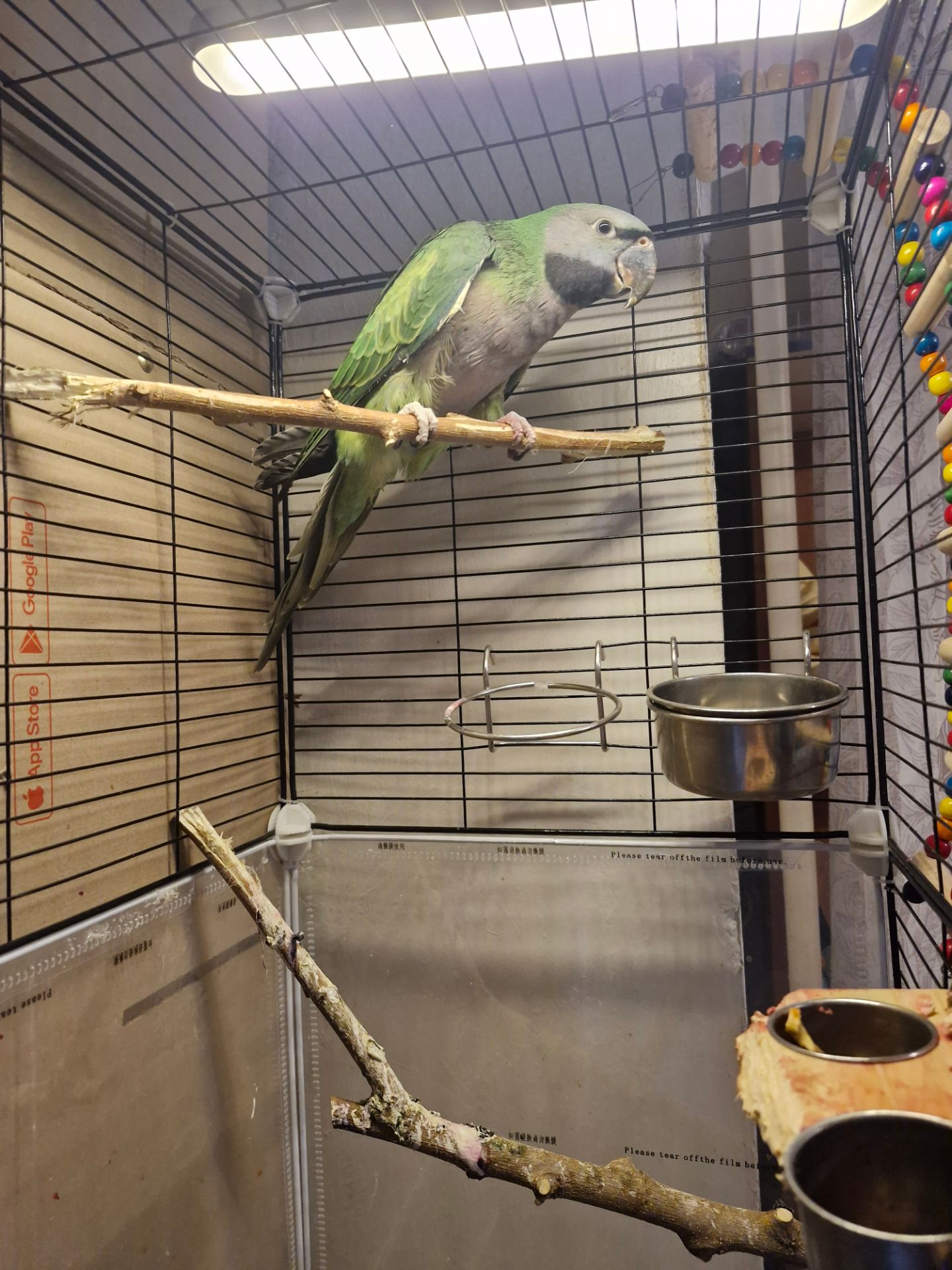 Китайський