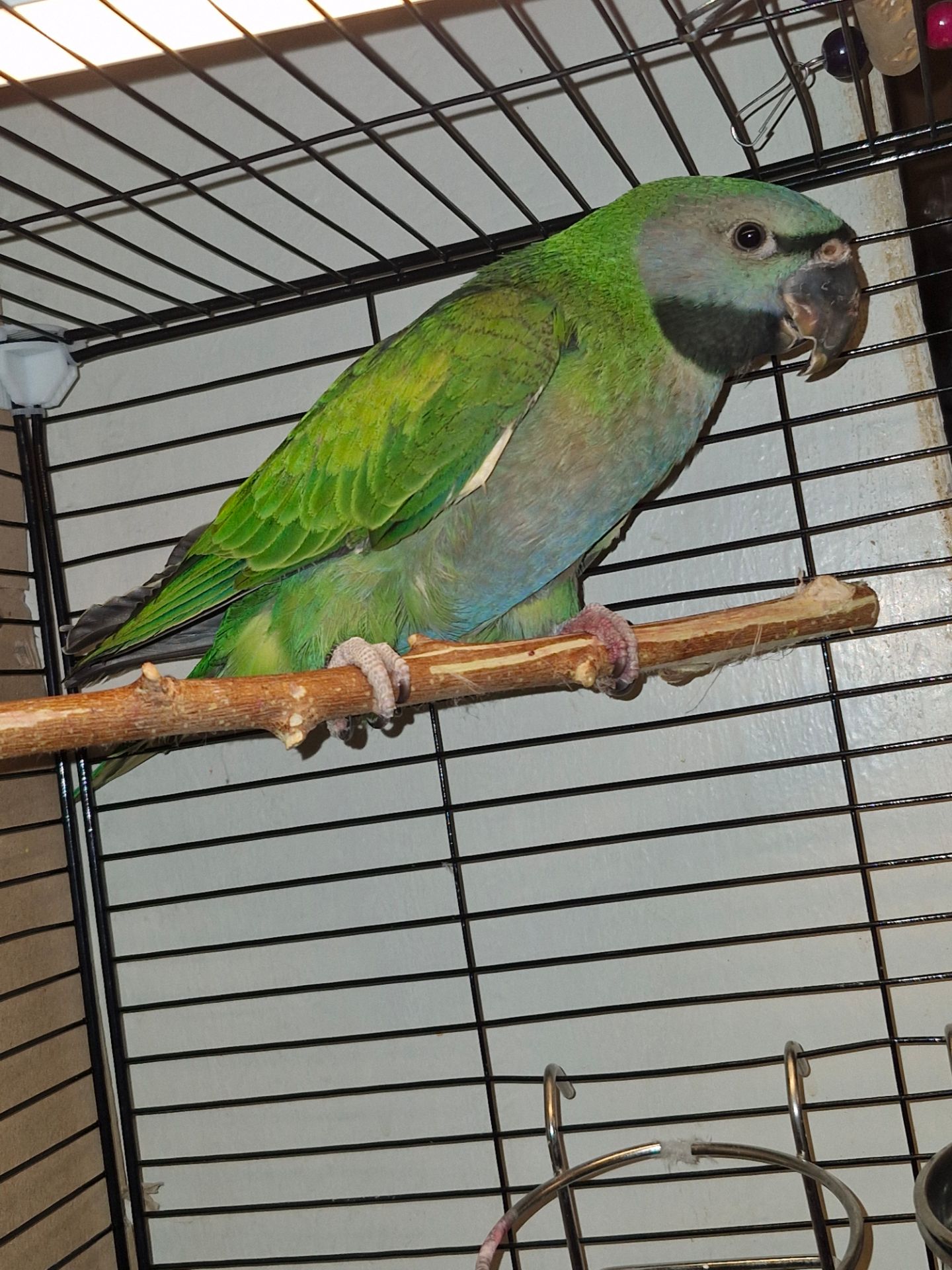 Китайський