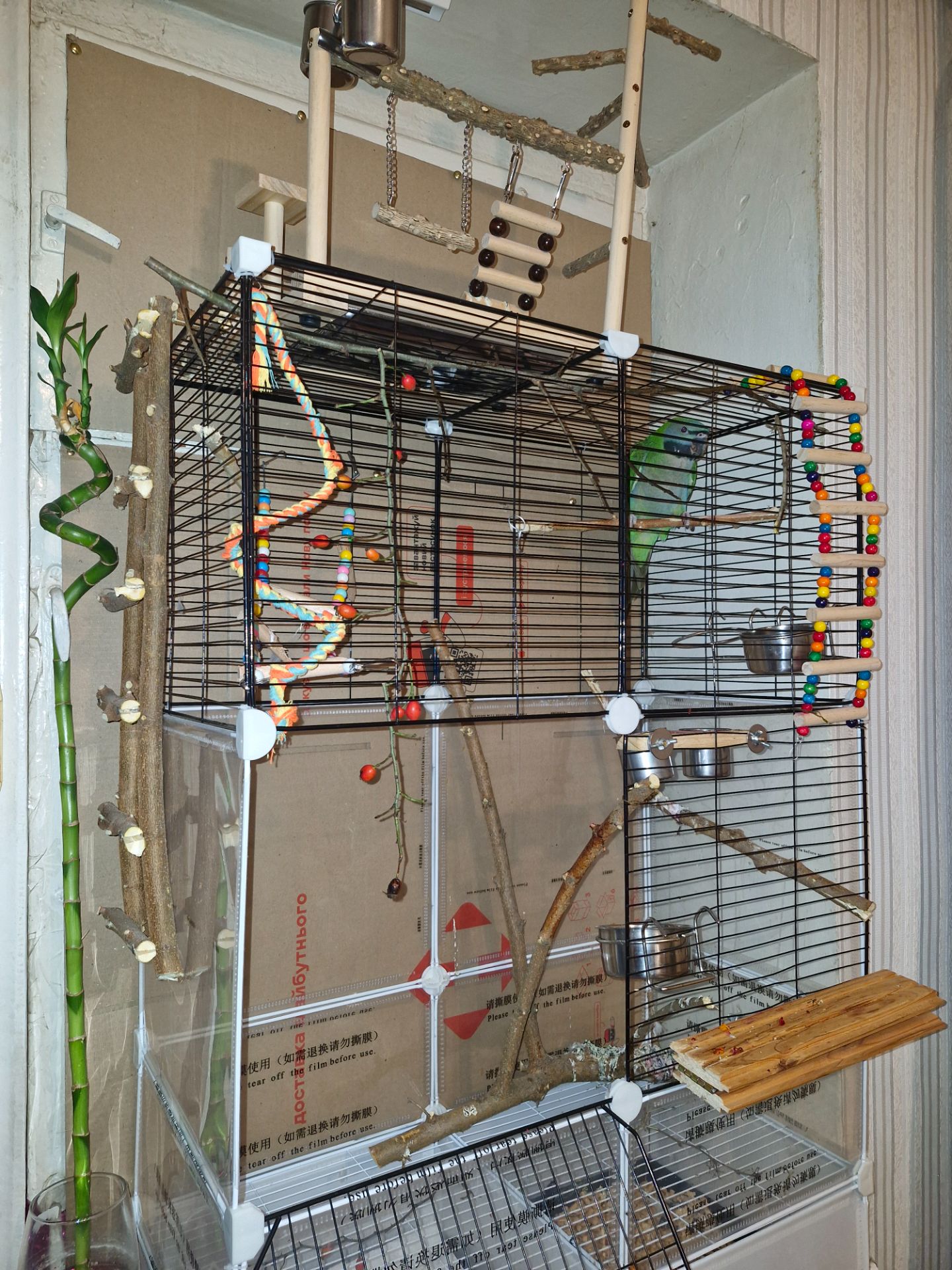 Китайський