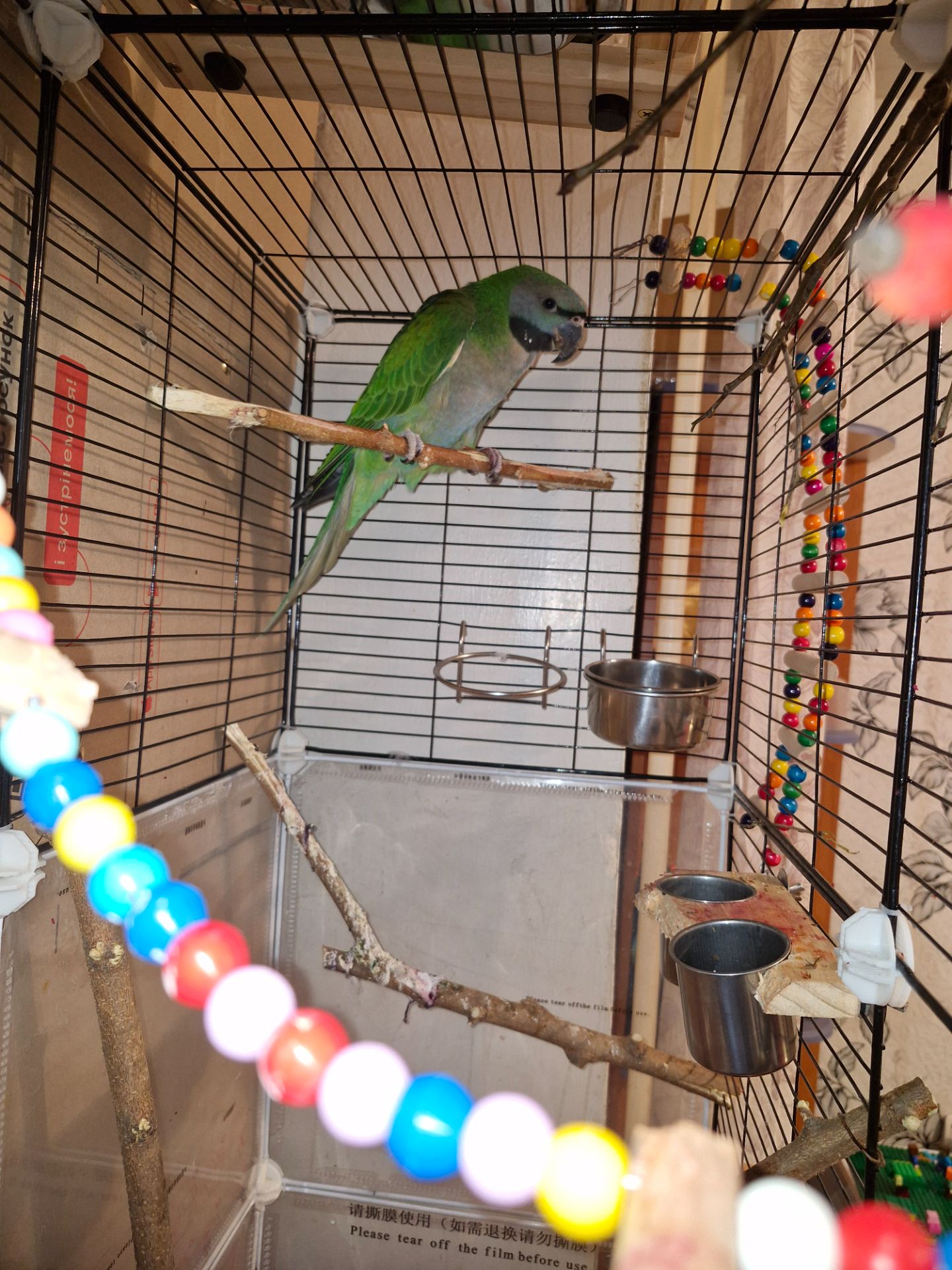 Китайський