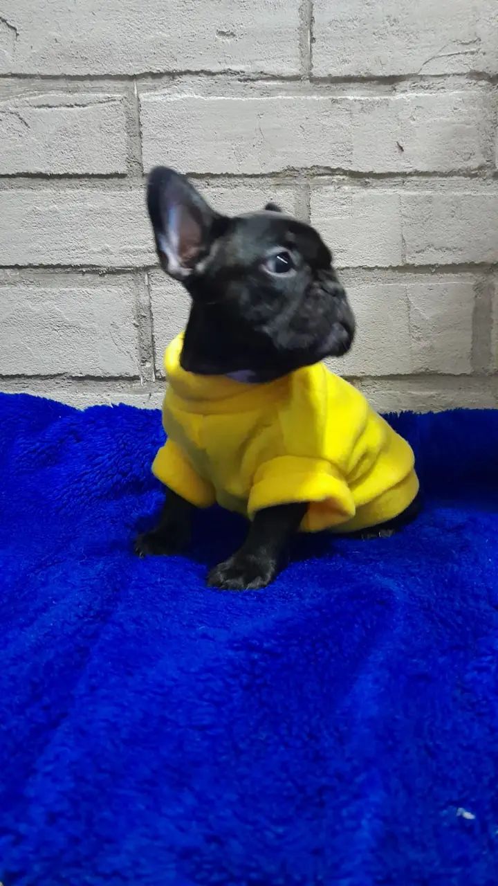 Чудова перлинка