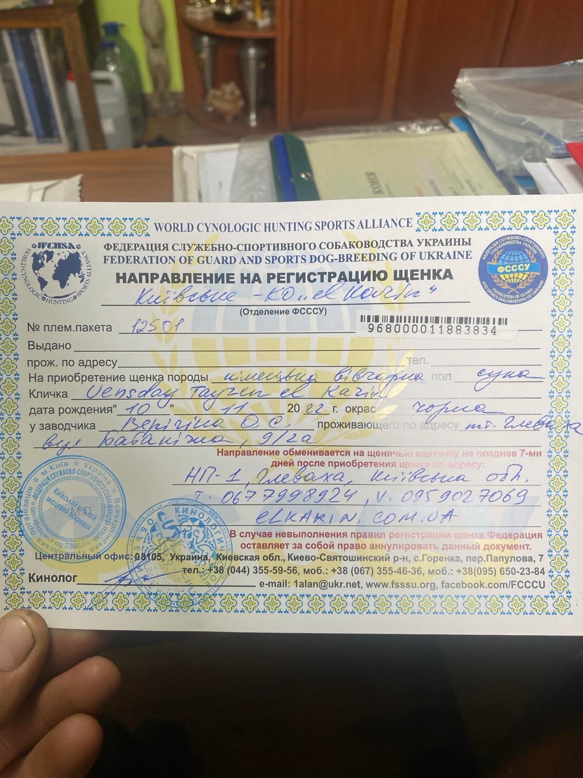 Чистокровні цуценята чорної німецької вівчарки