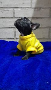 Чудова перлинка