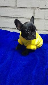 Чудова перлинка