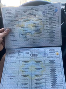 Чистокровні цуценята чорної німецької вівчарки