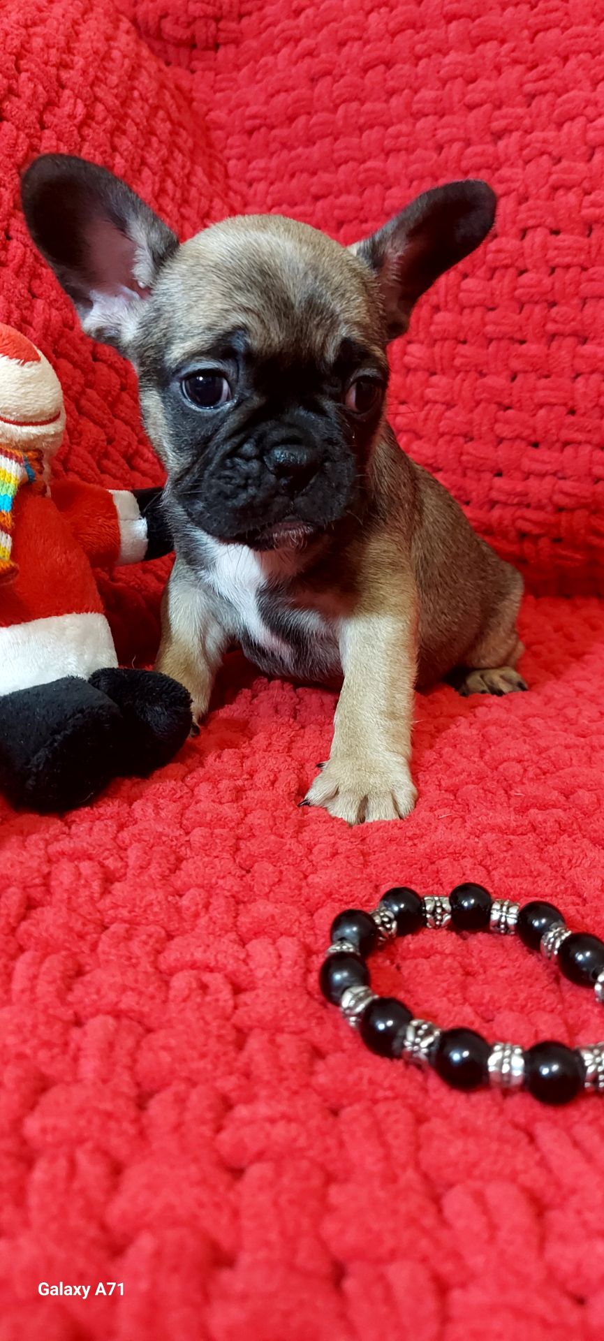 Чудова французька дівчинка