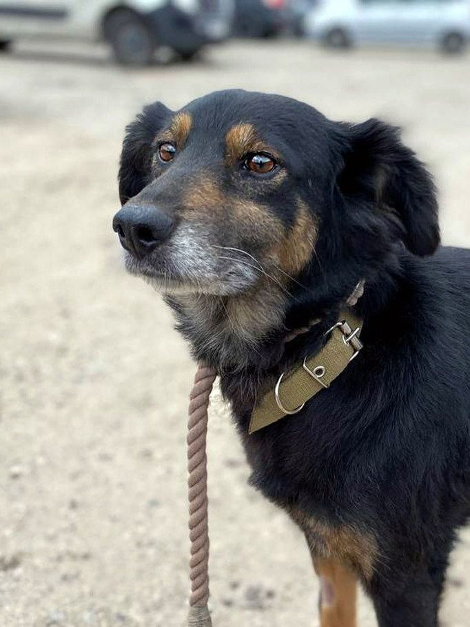 Діна з Сумщини, 3 роки