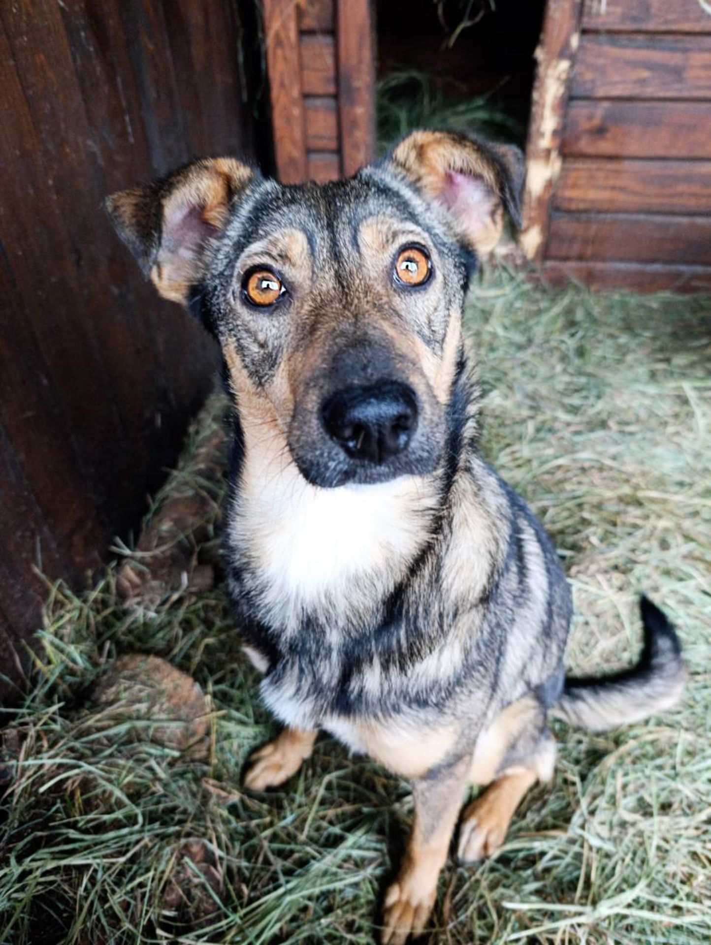 Кориця з Райського