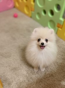 Самый обаятельный и привлекательный