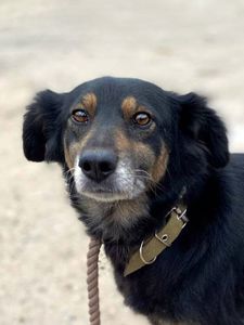 Діна з Сумщини, 3 роки