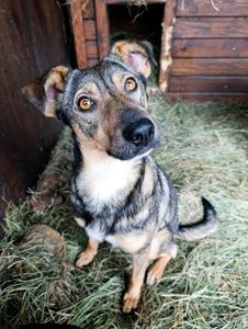 Кориця з Райського