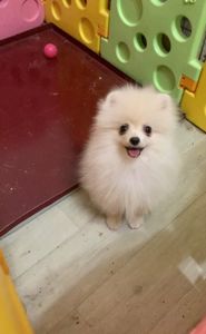 Самый обаятельный и привлекательный