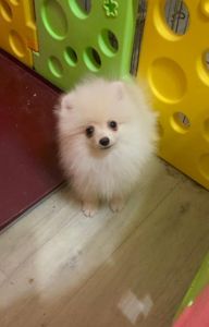 Самый обаятельный и привлекательный