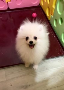 Самый обаятельный и привлекательный