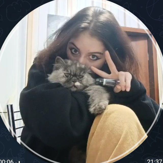 отдам кошечку