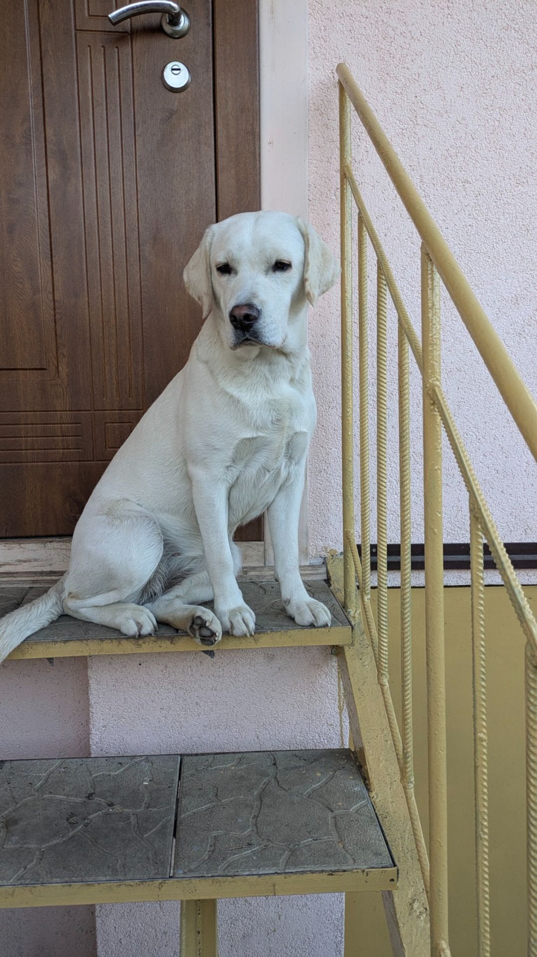 Девочка 1 год КСУ ЧИП ПРИВИВКИ