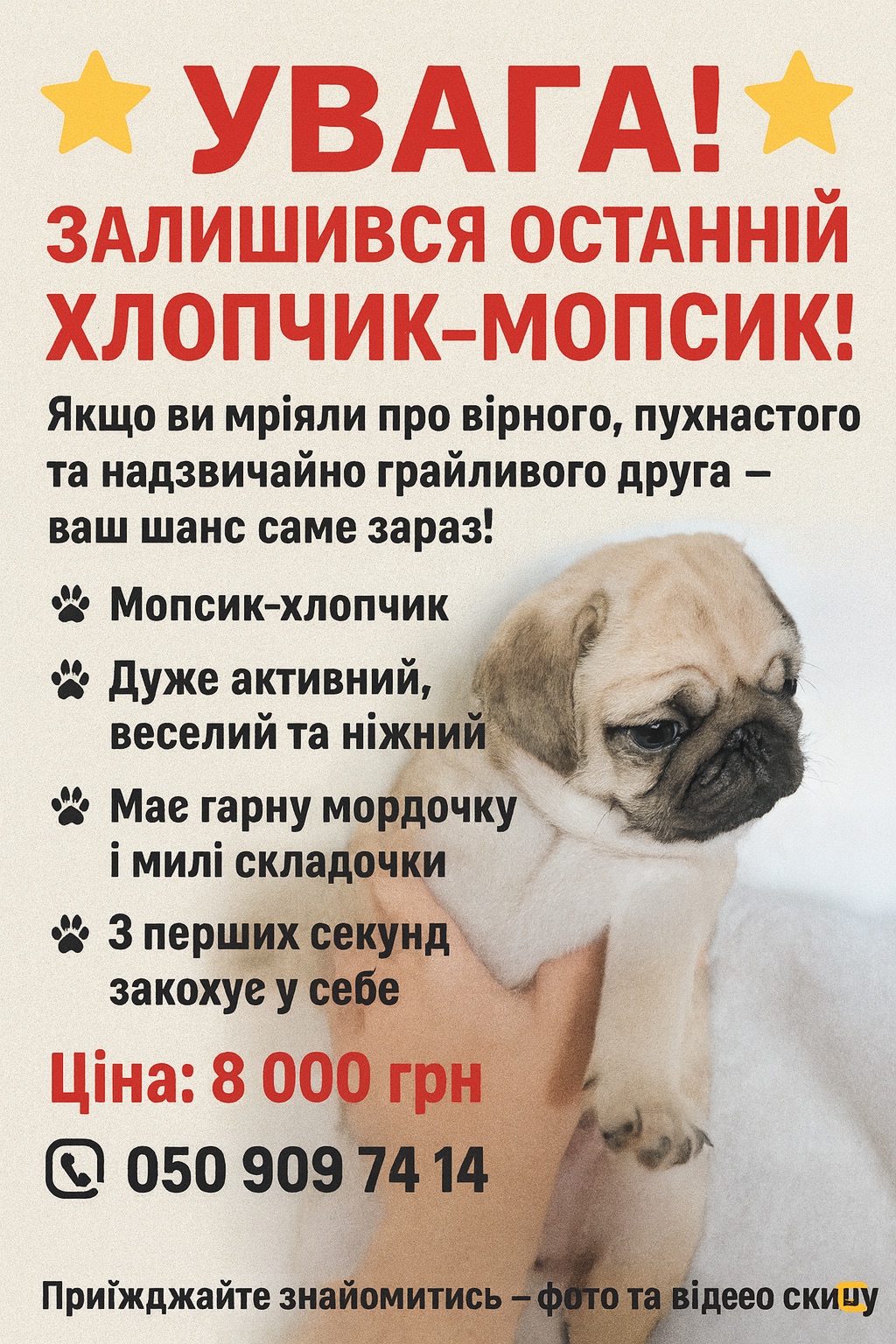 Цуценята мопса