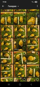 Підліток АрхАхатини Ukrainian White Gold