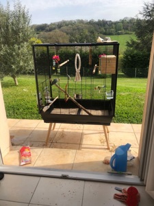 Квакер пара