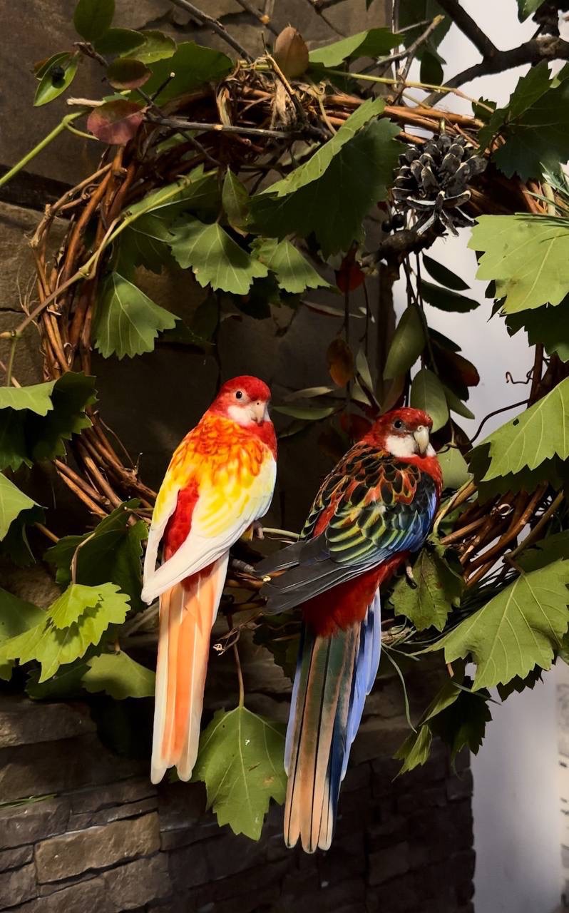 Пара Розелл