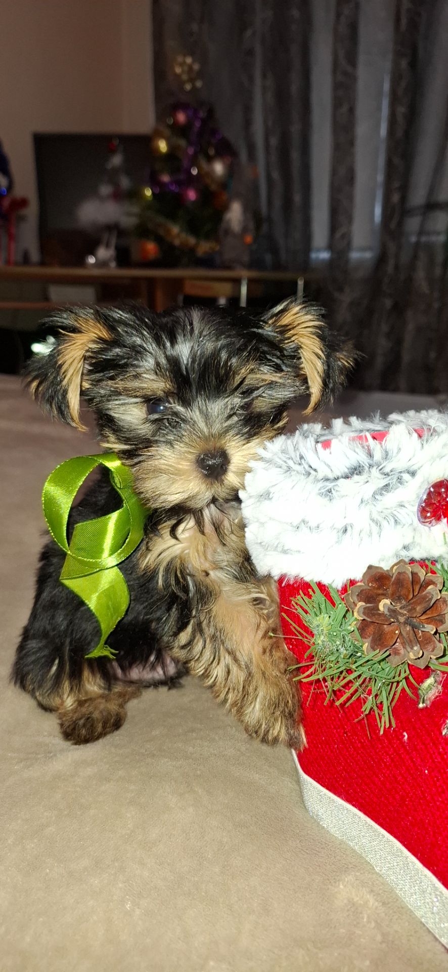 Справжнє новорічне чудо для близької людини