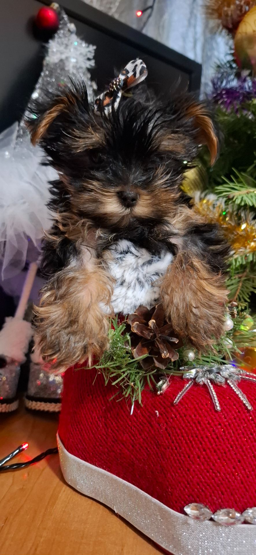 Справжнє новорічне чудо для близької людини