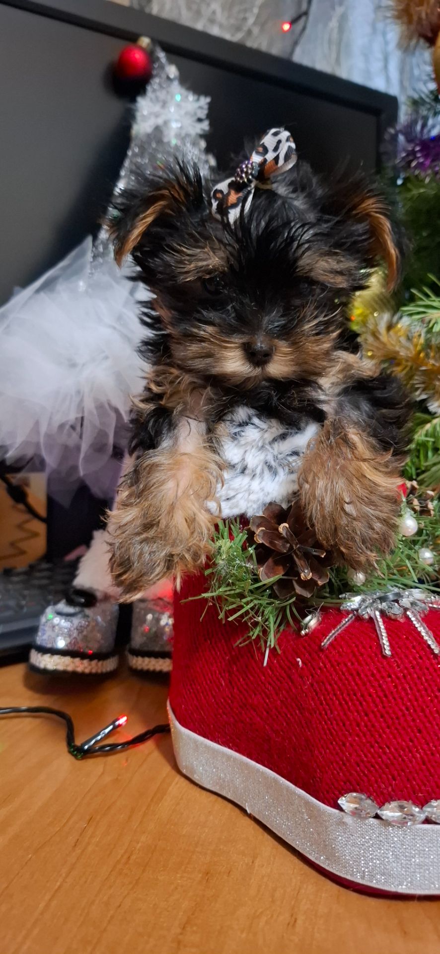 Справжнє новорічне чудо для близької людини