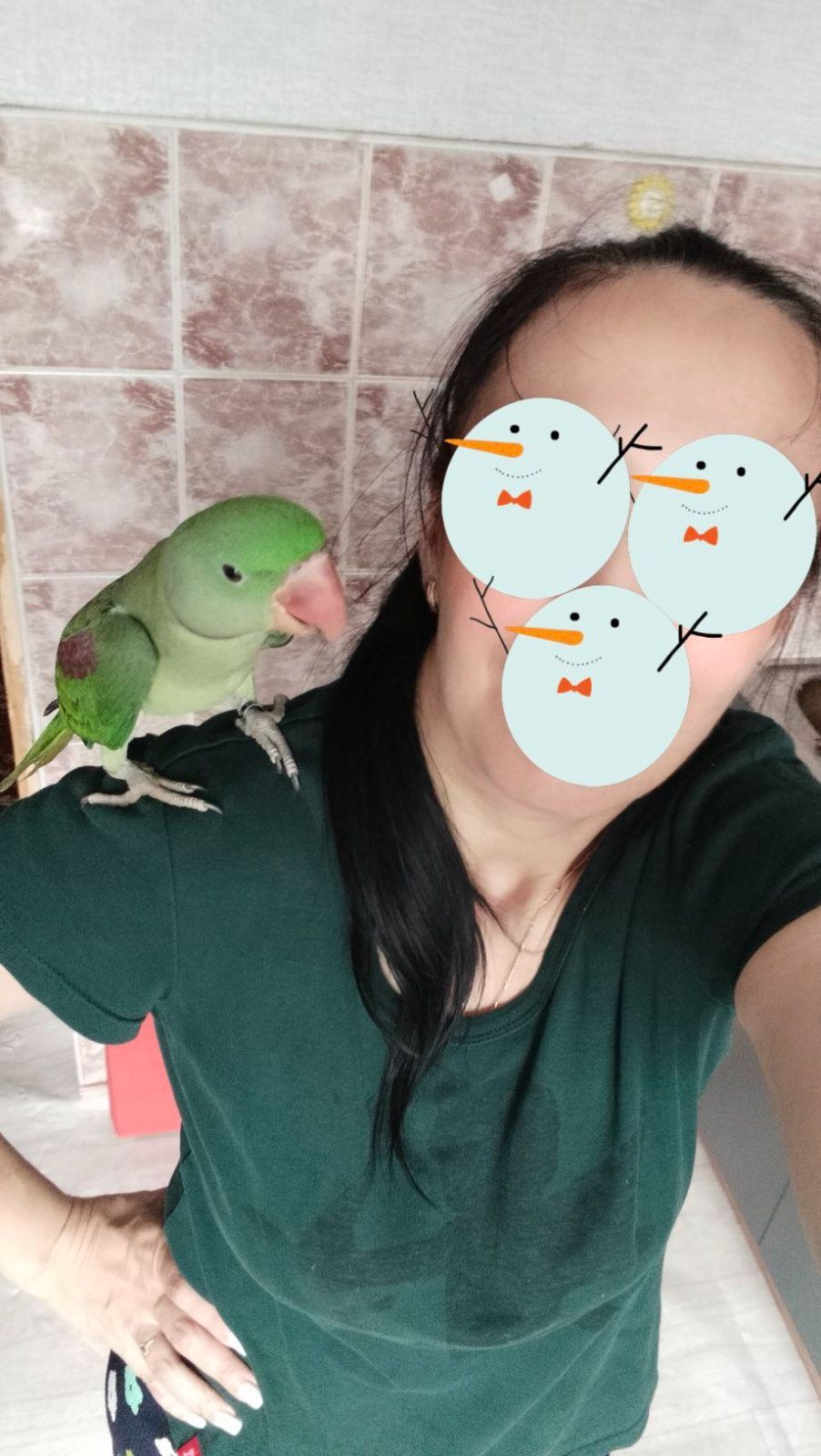 Олександрійський ручний хлопчик